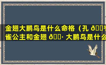 金翅大鹏鸟是什么命格（孔 🌾 雀公主和金翅 🌷 大鹏鸟是什么关系）